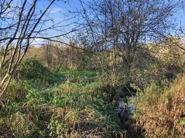 Boyceville Land Real Estate