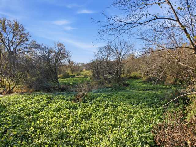 Boyceville Land Real Estate