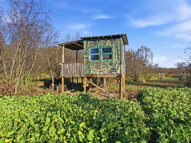 Boyceville Land Real Estate